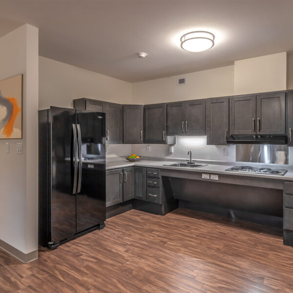 Modern accessible kitchen with dark cabinets, stainless steel appliances, and wooden flooring in a spacious apartment.